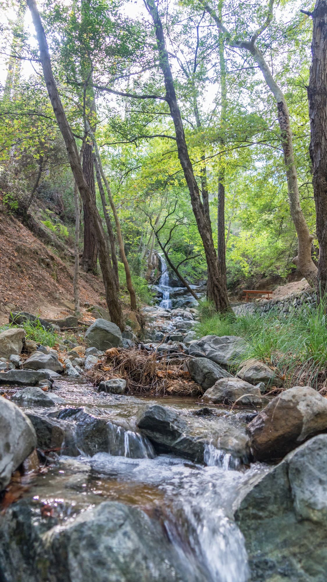 Privilege Rent a Car Limassol Cyprus Car Hire